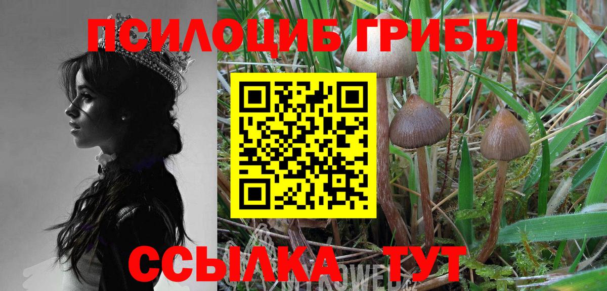 Галлюциногенные грибы Magic Shrooms  Вход с VPN  Ахтубинск 