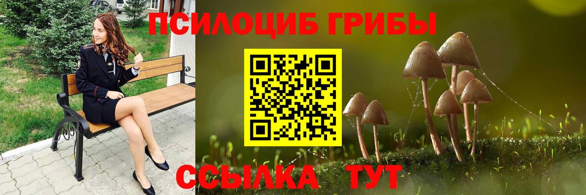 Галлюциногенные грибы MAGIC MUSHROOMS Ахтубинск